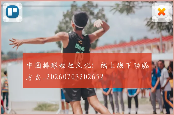 中国排球粉丝文化：线上线下助威方式_20260703202652