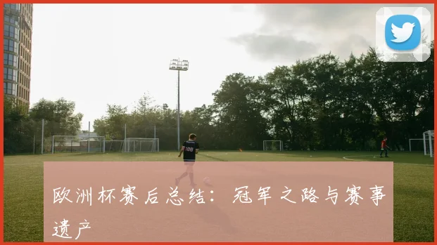欧洲杯赛后总结：冠军之路与赛事遗产